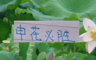 百家乐平台app-现阶段的申花要拿冠军！最大的依仗还是锋线进球能力|上海申花|上海海港|鲁迪·盖伊|上海申花足球俱乐部|大连英博_新浪体育_新浪新闻